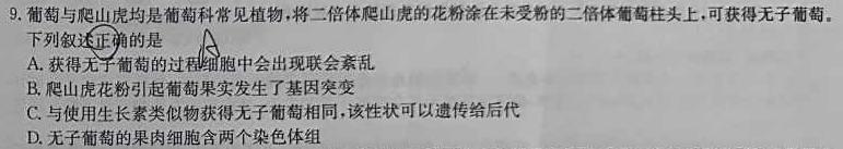 青桐鸣联考·2025届普通高等学校招生全国统一考试期中考试试卷生物