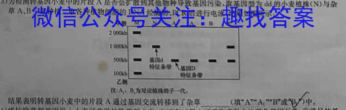 广东省三校2025届8月新高三年级摸底考试生物学试题答案