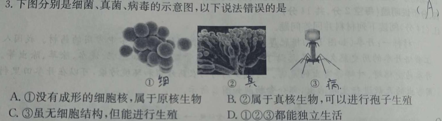 洛阳市2023-2024学年高二第一学期期末考试生物学部分