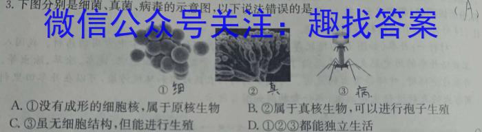 2024届雅礼中学模拟试卷(三)生物学试题答案