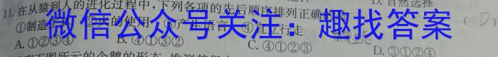 广东省湛江市2024年普通高考测试(一)1(2024.2)生物学试题答案