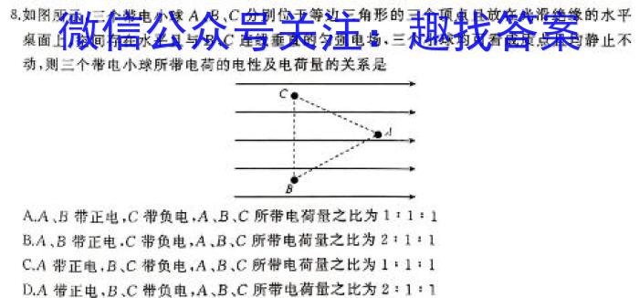 2024年新课标II卷高考q物理