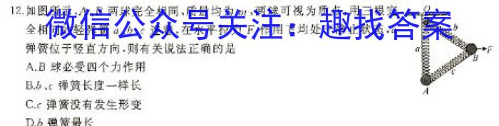 2024届衡水金卷高三5月份大联考物理试卷答案