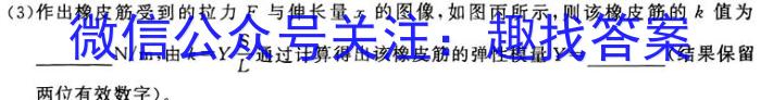 2024安徽无标题试题卷(四)物理试卷答案