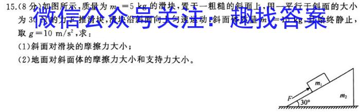 炎德英才大联考2024年普通高等学校招生全国统一考试考前演练四物理试卷答案