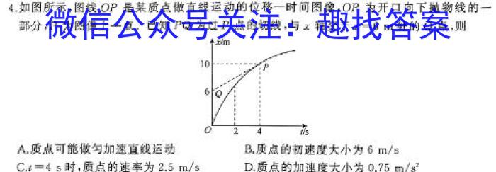 万维中考·2024年河北省初中毕业生升学文化课考试（黑卷）物理