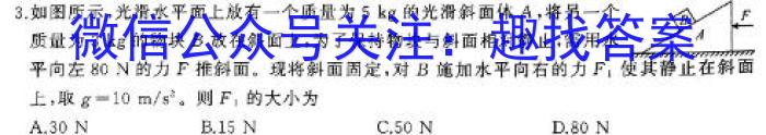 2024年陕西省初中学业水平考试·临考冲刺卷（C）物理试卷答案