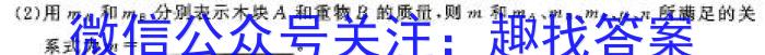 2024年河南省普通高中招生考试模拟试卷（5.15）物理试卷答案