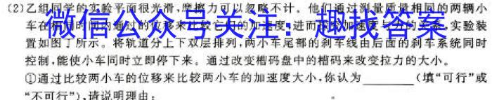 2024年河北省初中毕业生升学文化课考试模拟（十）物理试卷答案