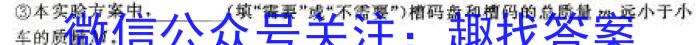 2024年汕头市潮南区普通高考第三次模拟考试物理试题答案