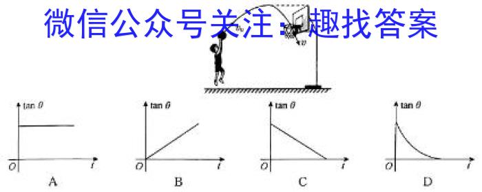 河南省2024年九年级第二次适应性考试物理`