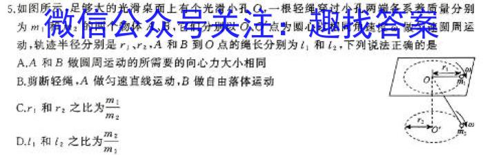 云南省2024-2025届高三年级开学考（10C）物理`