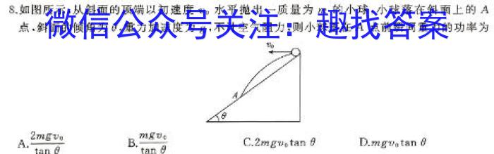 山东省2023~2024学年度高二第二学期期中质量检测(2024.04)物理试卷答案