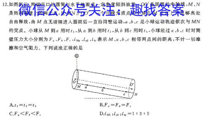 2024届非凡吉创新高中创新联盟TOP二十名校高二年级2月调研考试(242468D)物理