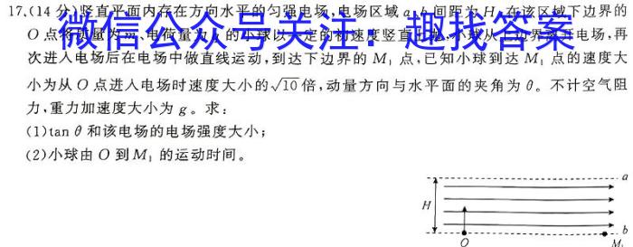 文博志鸿2024年河南省普通高中招生考试模拟试卷(导向一)物理试卷答案