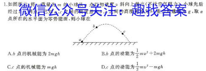 山西省2024年初中学业水平调研考试物理`