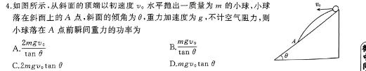 辽宁省重点高中沈阳市郊联体2023-2024学年下学期高二年级期末考试-(物理)试卷答案