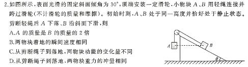 黔西南州2023-2024学年度高一第二学期期末教学质量监测(241946D)(物理)试卷答案