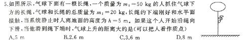 甘肃省武威市凉州区2024-2025学年高三第一次质量检测考试-(物理)试卷答案