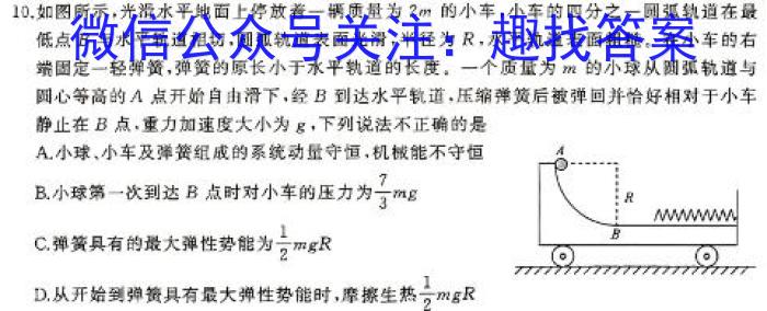 2024年洛阳强基联盟高一5月联考物理试卷答案