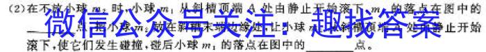 2024年9月山东新高考联合质量测评9月联考试题物理试卷答案