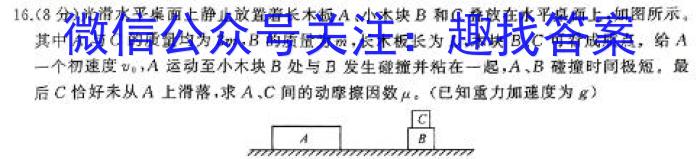 安徽省2023-2024第二学期九年级教学质量检测（三）物理`