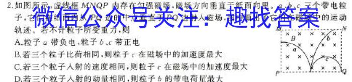 2024年安徽省毛坦厂高三年级九月份月考模拟测试物理试卷答案