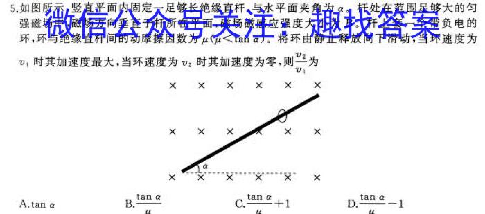 重庆市新高考金卷2024届全国Ⅱ卷适应卷(四)4物理试题答案