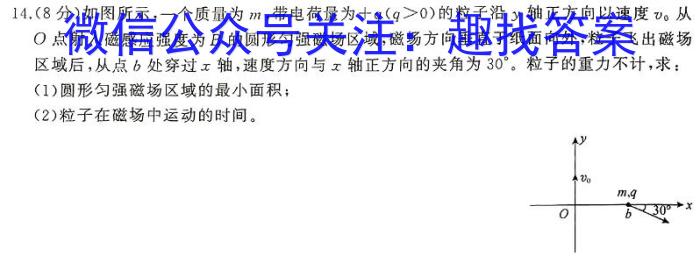 河南省2024年中考模拟示范卷 HEN(五)5物理试卷答案