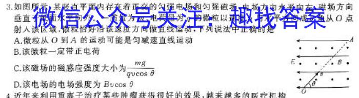 琢名小渔·2024-2025学年高二年级开学第一次联考物理试卷答案