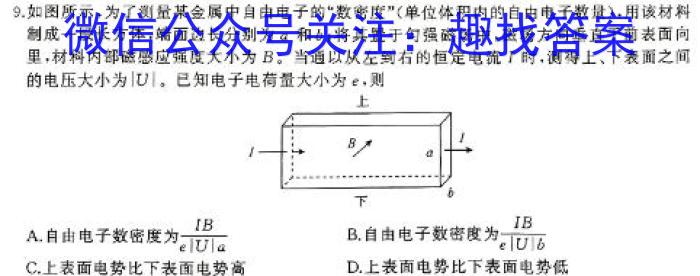 2024届高三TOP二十名校冲刺一物理`