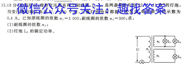 安徽省2025届八年级下学期期中考试（无标题）物理`