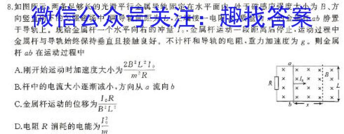 2023-2024学年安徽省九年级下学期开学摸底调研（CZ）物理试卷答案