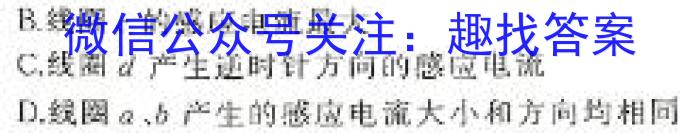 河南省2024中考导向总复习试卷 中考模拟试卷(四)4物理`