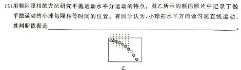 2024届河北省高三适应性测试(3月)物理试题.