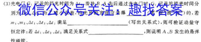 2024年湖南省普通高中学业水平合格性考试高二仿真试卷(专家版六)物理试题答案