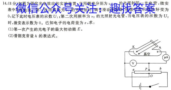 2024年河南省普通高中招生考试模拟试卷（导向一）物理试卷答案