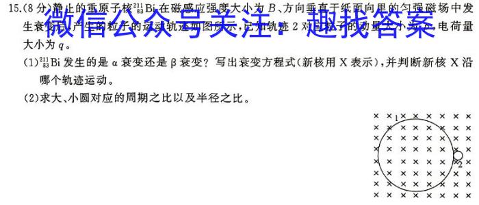 山东省2024年普通高等学校招生全国统一考试测评试题(五)5h物理