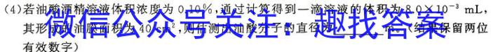 衡水金卷 2024届高三年级4月份大联考(LL)物理`