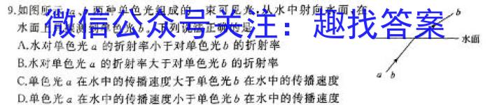 河南省2023-2024学年高二期末(下)测试(24-601B)物理试题答案