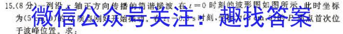 炎德·英才大联考 2024届新高考教学教研联盟高三第一次联考物理试卷答案