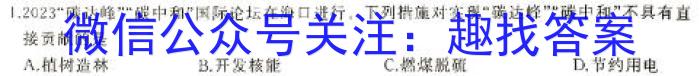 山东省长清区2024年下学期九年级阶段检测化学