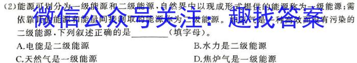 2024年陕西省初中学业水平考试摸底调研试题(A)化学