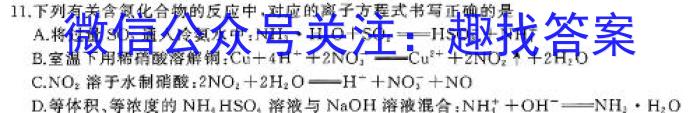 内部资料·加速高升鼎新卷2024年安徽省初中学业水平模拟考试（A卷）化学