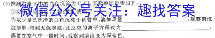 明思教育2024年河南省普通高中招生考试试卷(金榜卷)化学