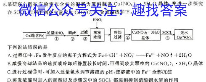 3安徽省滁州市2024届天长市实验中学教育集团九年级课程质量检测化学试题