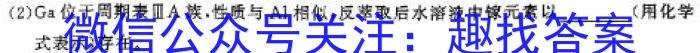 q安徽省2024届下学期九年级开学考试（2.27）化学