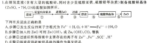 12024-2025学年安徽省七年级上学期开学摸底调研化学试卷答案