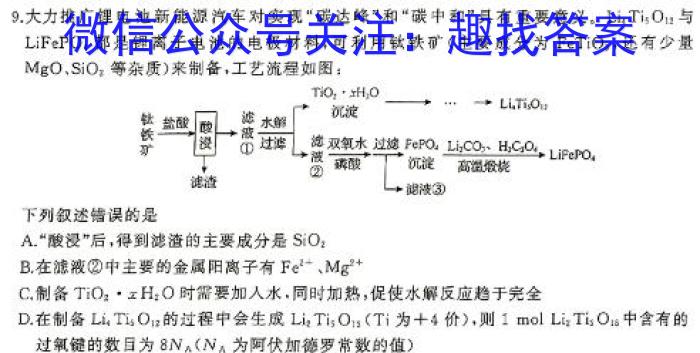 2024届名校之约中考导向总复习模拟样卷 二轮(一)化学