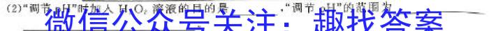 q河北省2023-2024学年九年级寒假学情评价化学